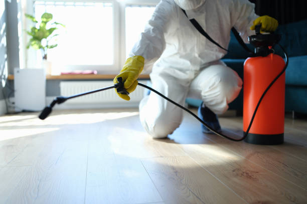 Affordable Sewage Cleanup solutions in Castalian Springs, TN
